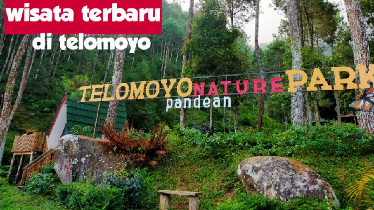 Telomoyo Nature Park: Petualangan Alam di Lereng Gunung